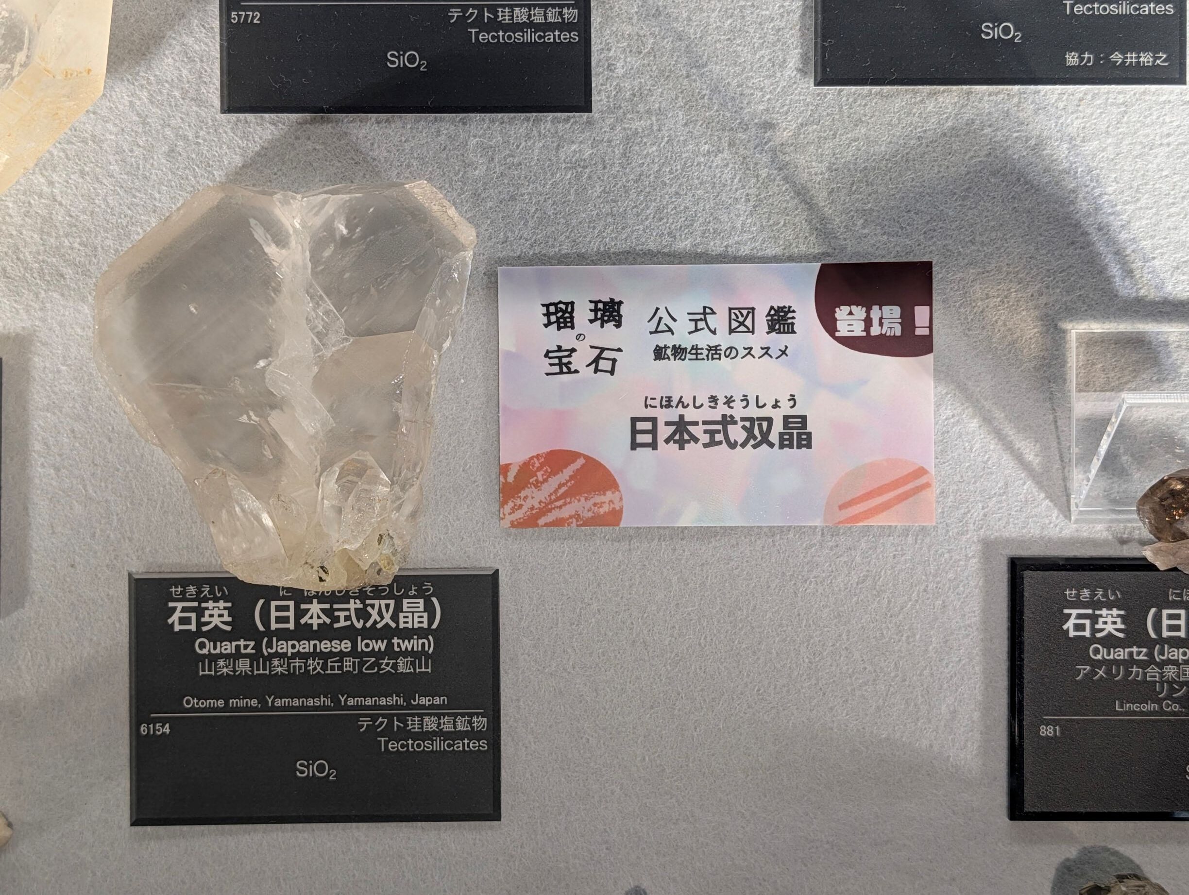 ミニ展示】瑠璃の宝石ミニコラボ展示 - フォッサマグナミュージアム 