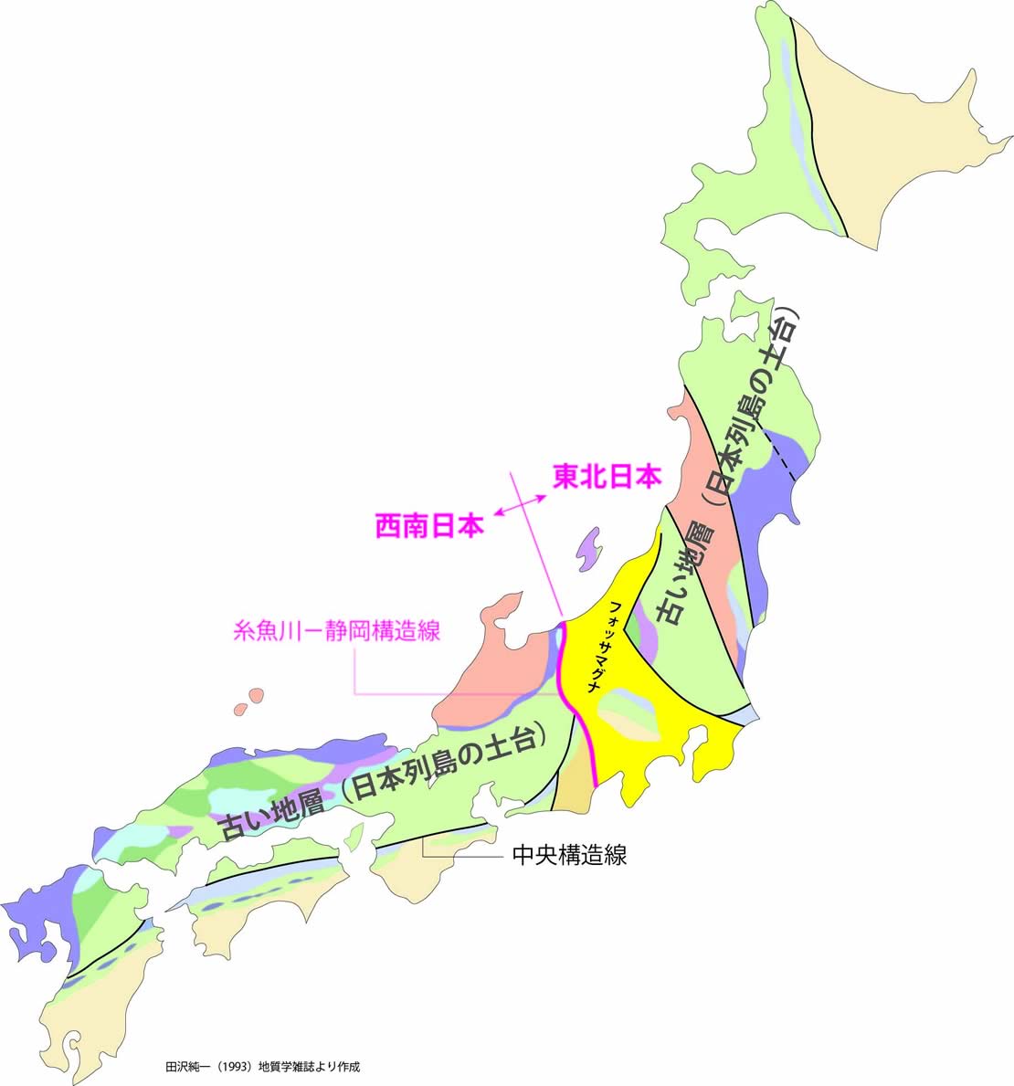 フォッサマグナと日本列島 フォッサマグナミュージアム Fossa Magna Museum 新潟県糸魚川市のヒスイとフォッサマグナのことが楽しく学べる博物館