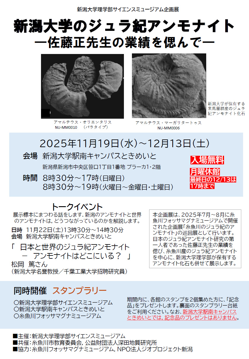 2025Niigata-UnivAmmoniteExhibition