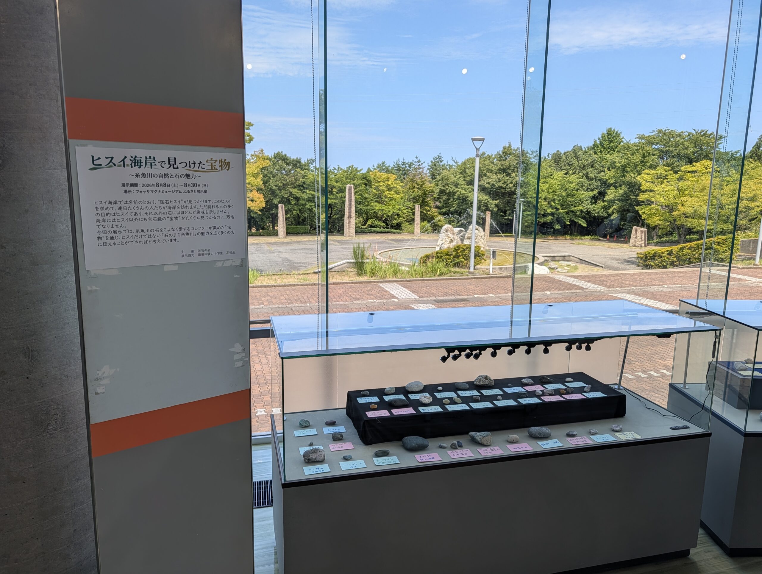 PXL_20260808_022403334.MP