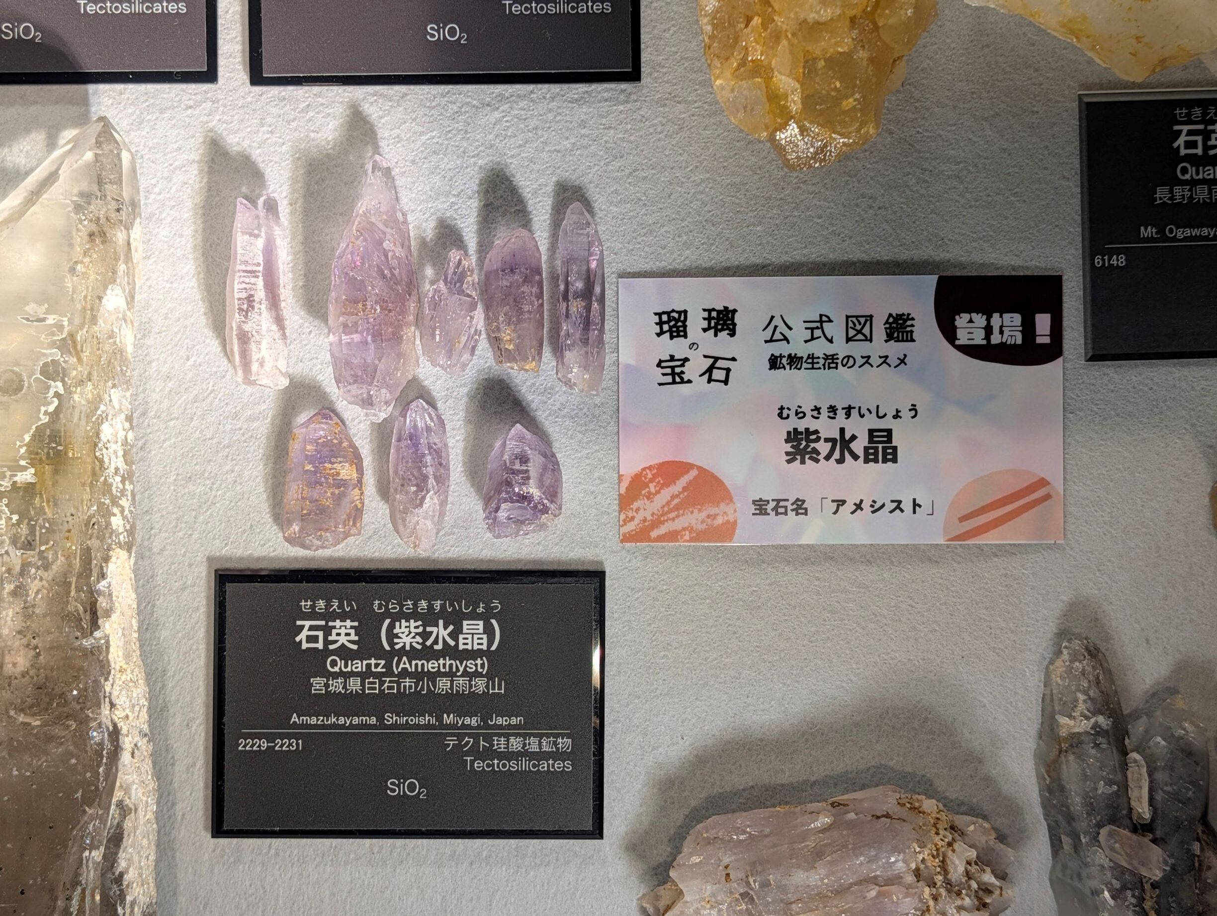 ミニ展示】瑠璃の宝石ミニコラボ展示 - フォッサマグナミュージアム